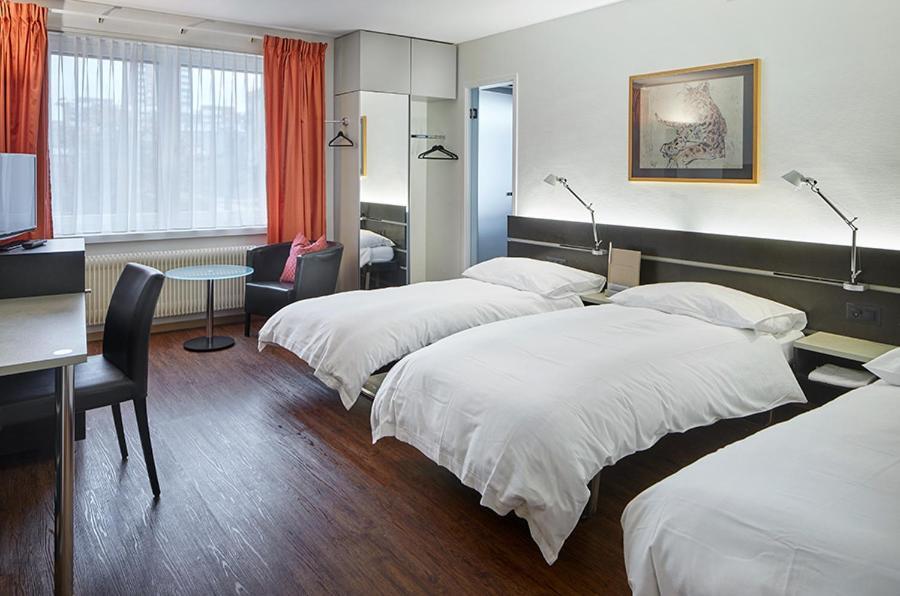Hotel Du Commerce Basilej Exteriér fotografie